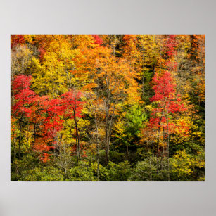 Autumn at Sims Pond North Carolina, Blue Ridge Poster