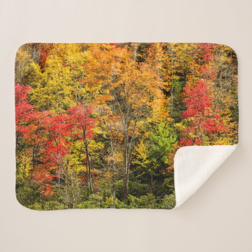 Autumn at Sims Pond North Carolina Blue Ridge Sherpa Blanket