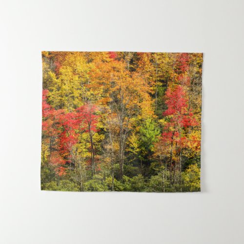 Autumn at Sims Pond North Carolina Blue Ridge Tapestry