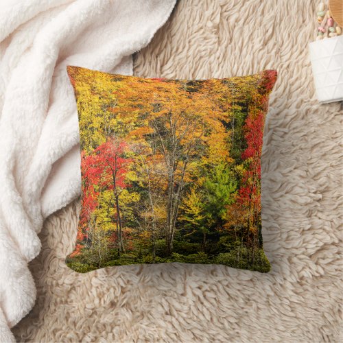 Autumn at Sims Pond North Carolina Blue Ridge Throw Pillow