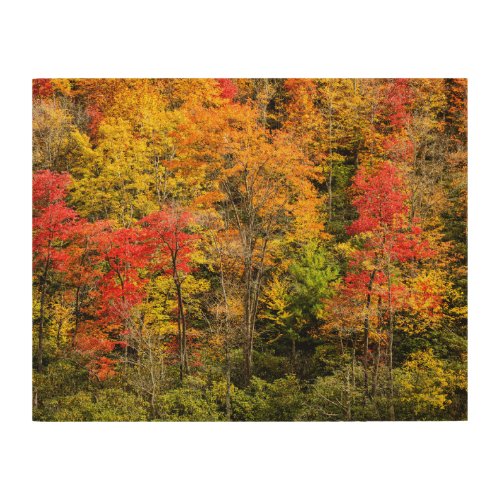 Autumn at Sims Pond North Carolina Blue Ridge Wood Wall Art