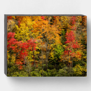 Autumn at Sims Pond North Carolina, Blue Ridge Wooden Box Sign