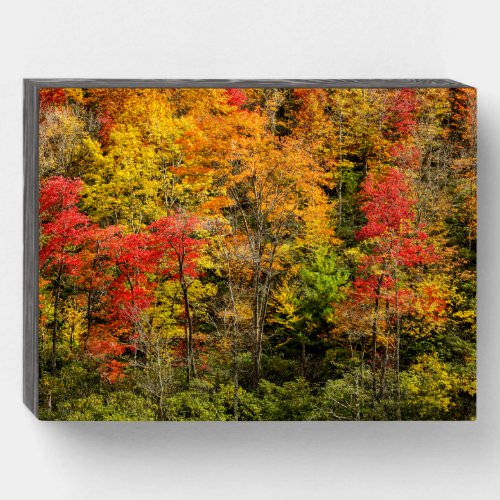 Autumn at Sims Pond North Carolina Blue Ridge Wooden Box Sign