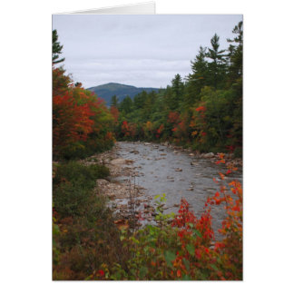 Autumn at the River Cards