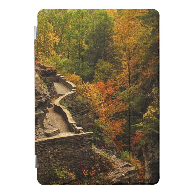 Autumn at Treman State Park 10.5 iPad Pro Case