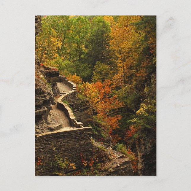 Autumn at Treman State Park Postcard (Front)