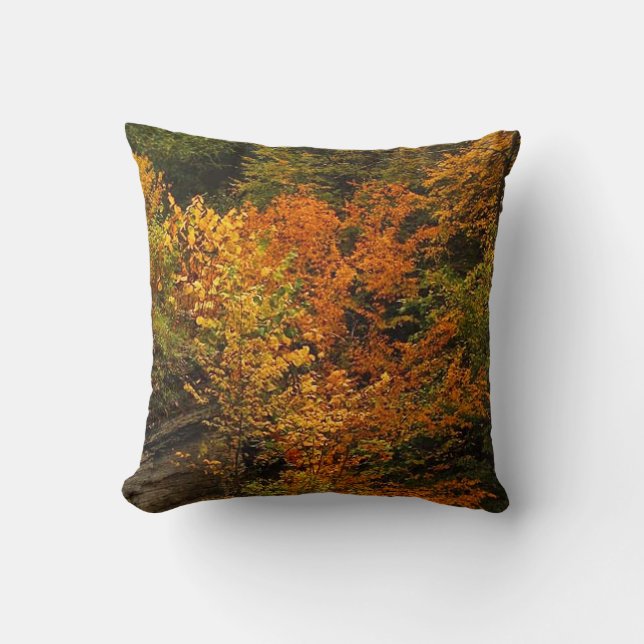 Autumn at Treman State Park Throw Pillow (Front)