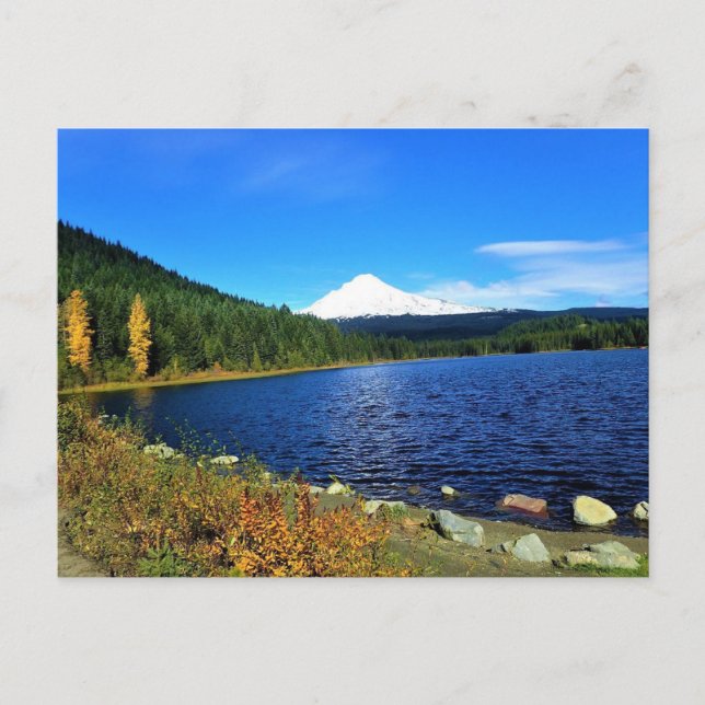 Autumn at Trillium Lake, OR Postcard (Front)
