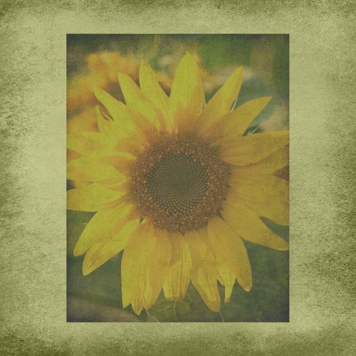 Autumn Aura Sunflower Scrapbook Paper