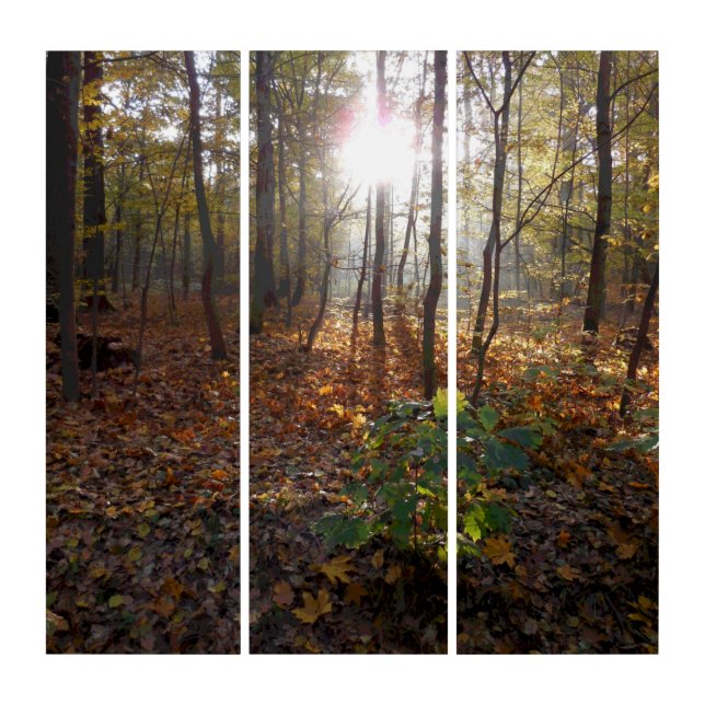 Autumn awakening in the forest triptych (Front)