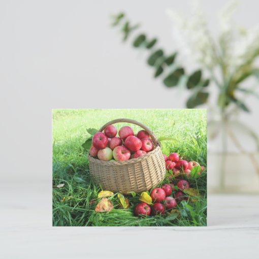 Autumn background postcard | Zazzle