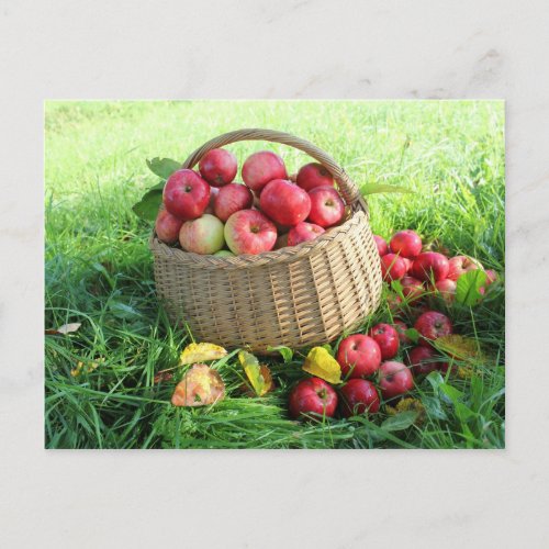 Autumn background postcard
