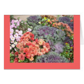 Autumn beauty (Front Horizontal)