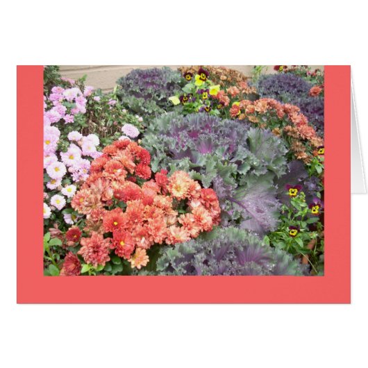 Autumn beauty (Front Horizontal)