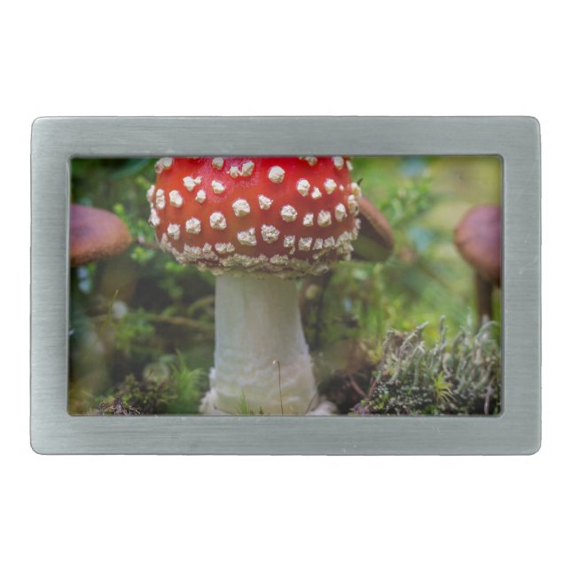 Autumn Beauty Belt Buckle (Front)