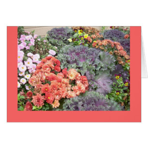 Autumn beauty cards