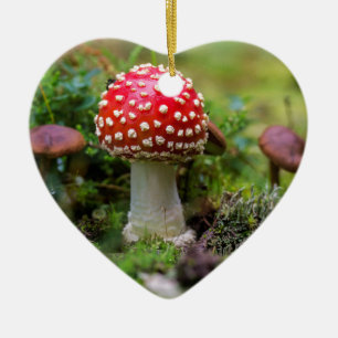 Autumn Beauty Ceramic Ornament