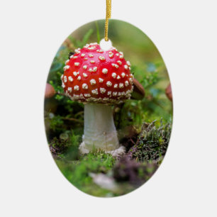 Autumn Beauty Ceramic Ornament