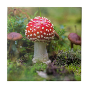 Autumn Beauty Ceramic Tile