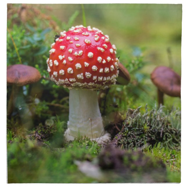 Autumn Beauty Cloth Napkin (Front)