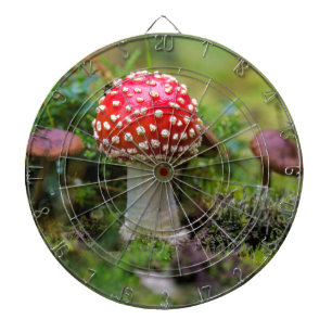 Autumn Beauty Dartboard With Darts