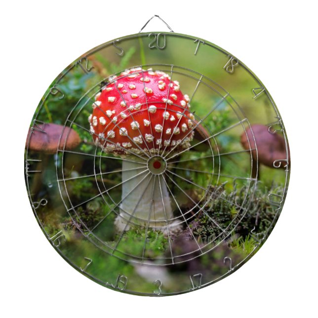 Autumn Beauty Dartboard With Darts (Front)