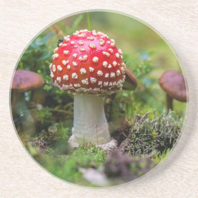 Autumn Beauty Drink Coaster (Front)