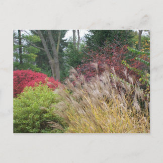 Autumn beauty in Ohio Postcard