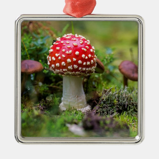 Autumn Beauty Metal Ornament (Front)