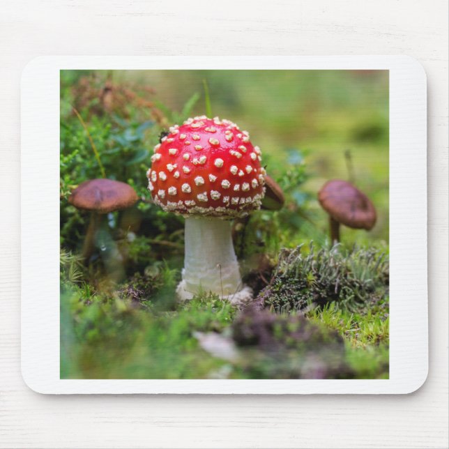 Autumn Beauty Mouse Pad (Front)