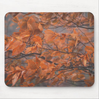 Autumn Beauty Mouse Pad