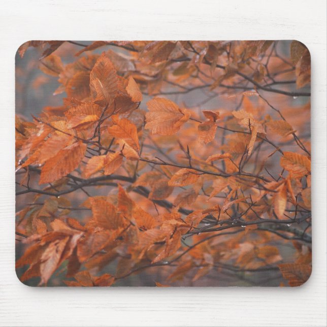 Autumn Beauty Mouse Pad (Front)