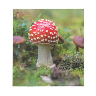 Autumn Beauty Notepad