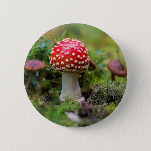 Autumn Beauty Pinback Button