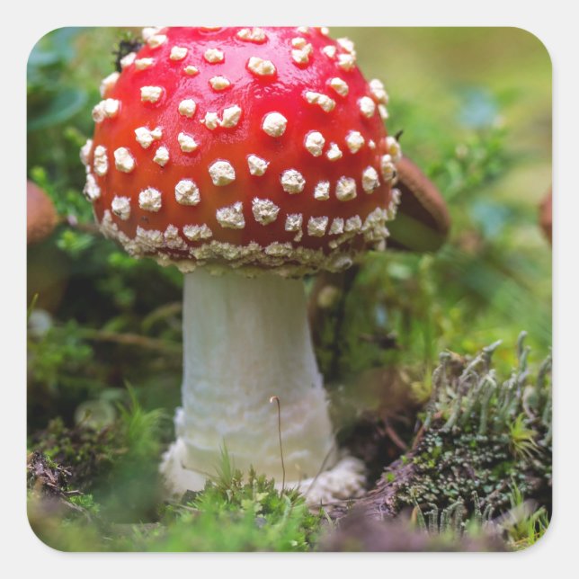 Autumn Beauty Square Sticker (Front)