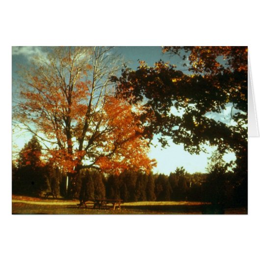 Autumn Begins (Front Horizontal)