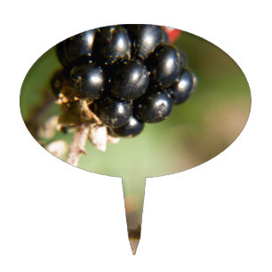 Autumn Berries Cake Topper