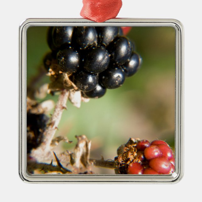 Autumn Berries Metal Ornament (Front)