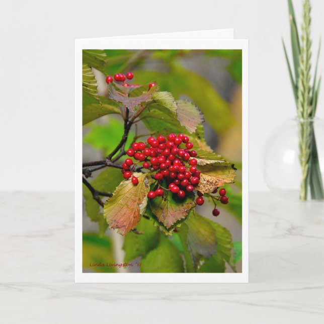 Autumn Berries XMAS Card 2012 (Front)