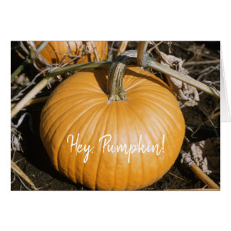Autumn Big Orange HALLOWEEN Pumpkin Fall Squash Cards