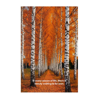 Autumn Birch Forest Inspirational Quote Acrylic Print