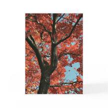 AUTUMN   (blank card)