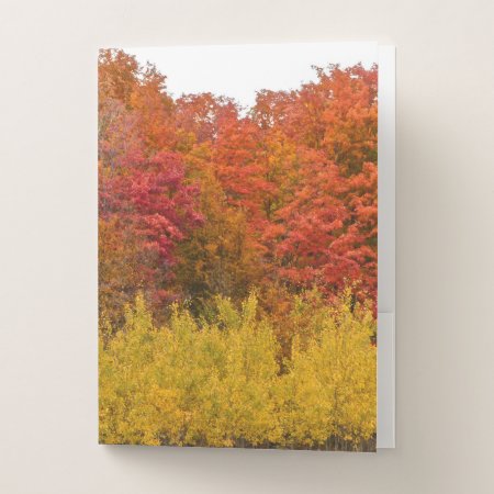 "autumn Blaze" Fall Colors Pocket-style Folder