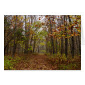 Autumn Bliss (Front Horizontal)