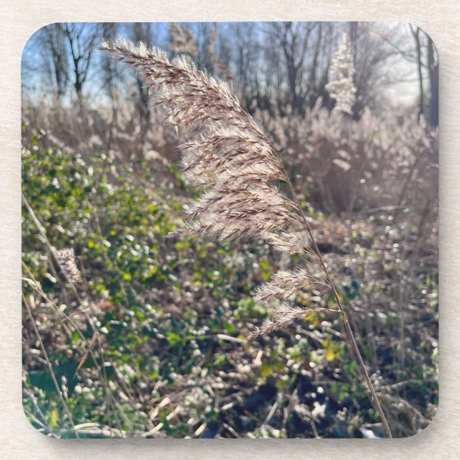 Autumn bliss.. beverage coaster (Front)