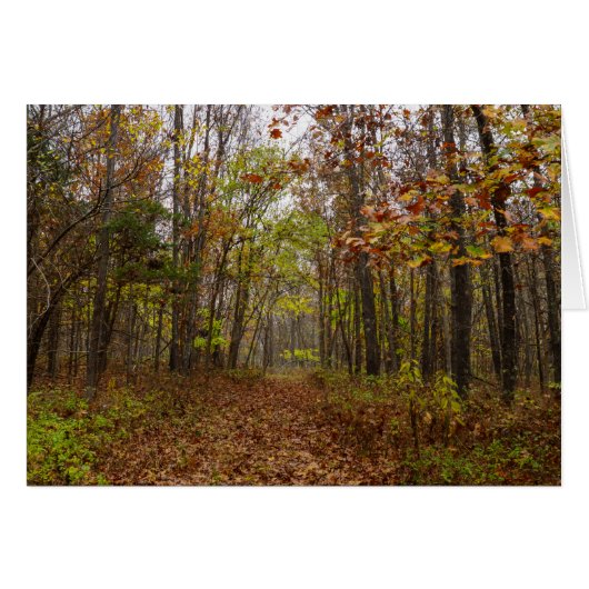 Autumn Bliss Cards (Front Horizontal)
