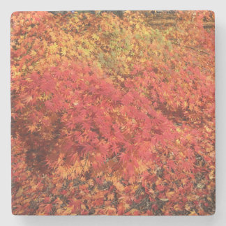 Autumn Bliss Coaster
