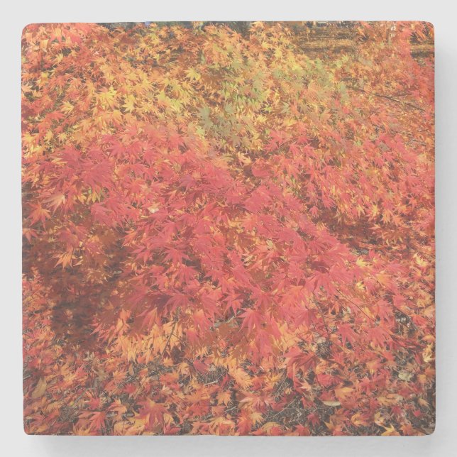 Autumn Bliss Coaster (Front)