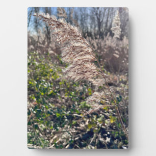 Autumn bliss.. plaque