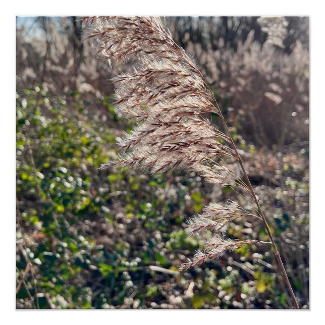 Autumn bliss.. poster (Front)